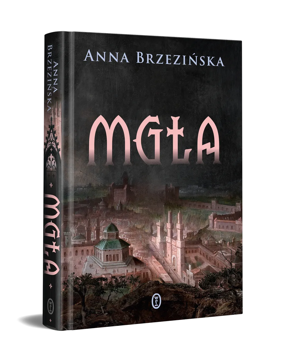 Recenzja książki “Mgła” Anny Brzezińskiej